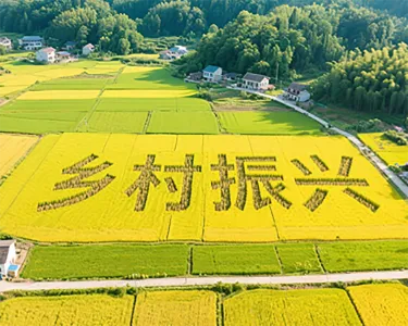 价值观2